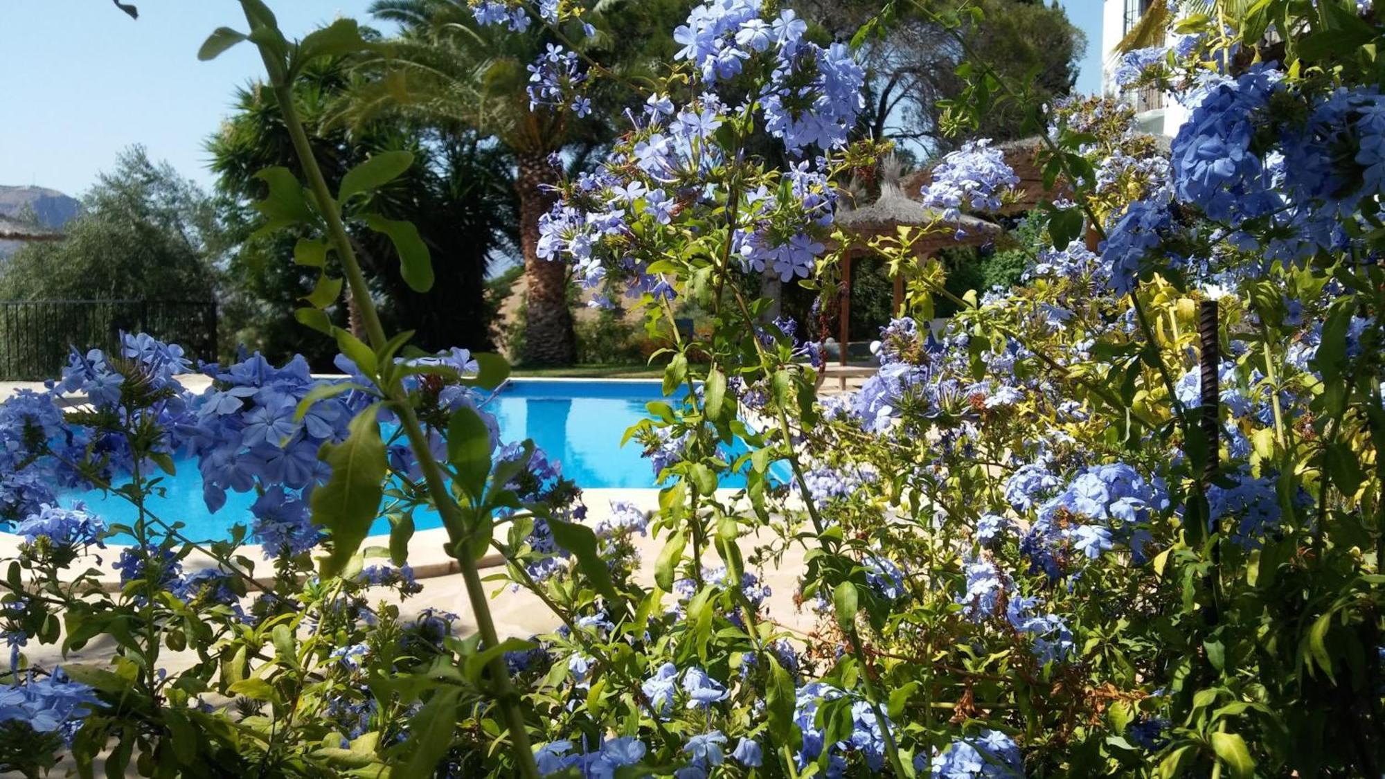 B&B Casa Domingo อะโลรา ภายนอก รูปภาพ