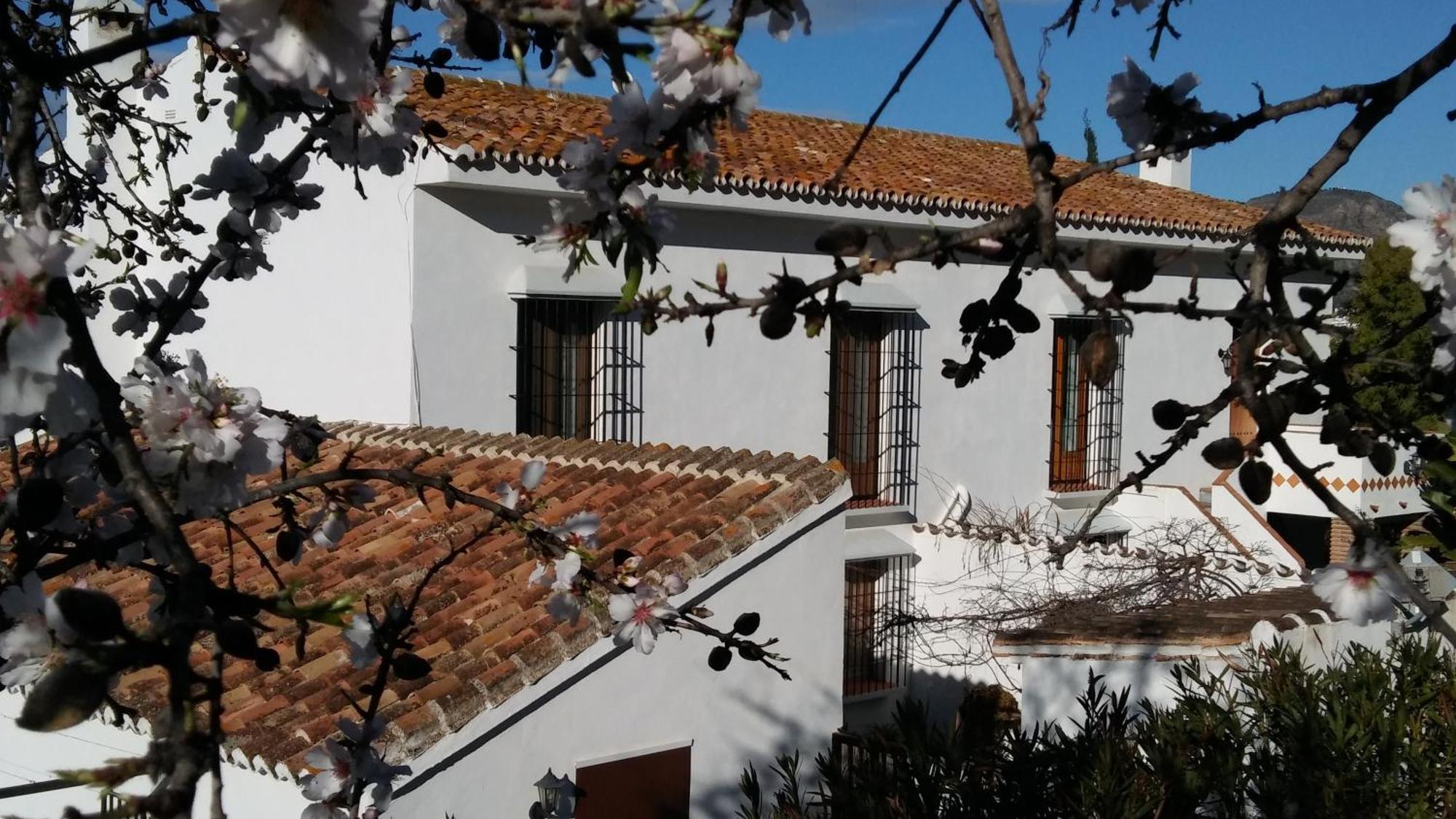 B&B Casa Domingo อะโลรา ภายนอก รูปภาพ